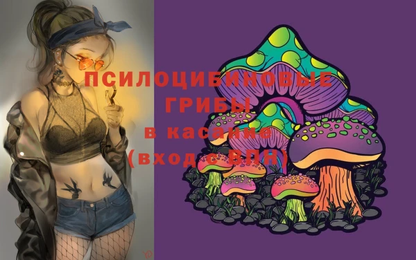 шишки Ступино
