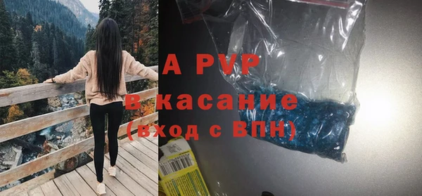 spice Белокуриха