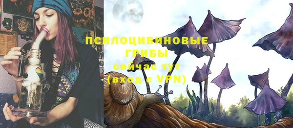 spice Белокуриха