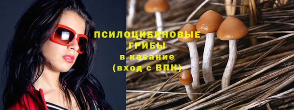 амф Белоозёрский